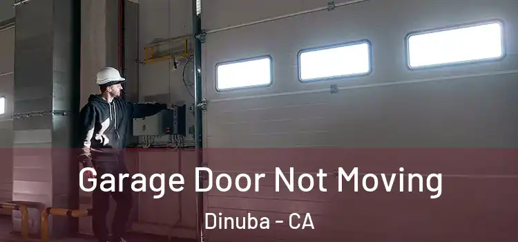  Garage Door Not Moving Dinuba - CA