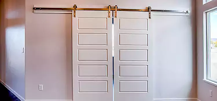 Glass Barn Door with Installation Hardware Kit Dinuba