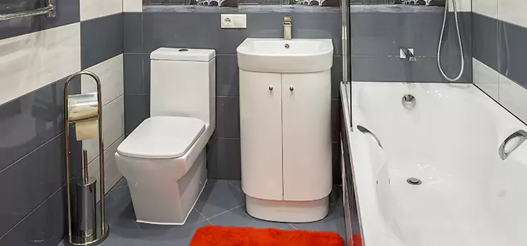 Hansgrohe Shaving Mirror Dinuba