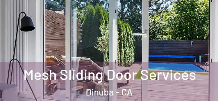  Mesh Sliding Door Services Dinuba - CA